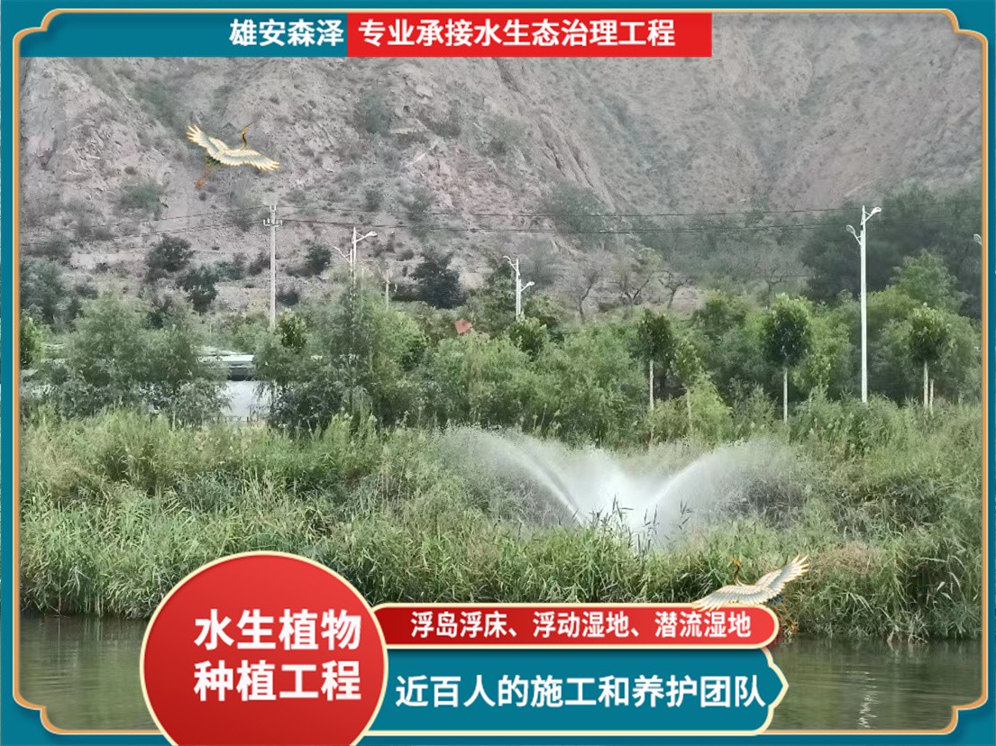 水生态治理施工现场 (3)